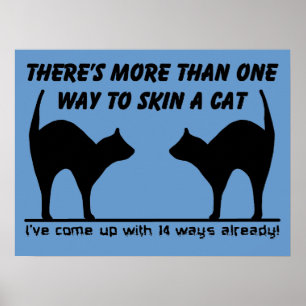 Skin A Cat Funny Poster Imprimer Signal Humour