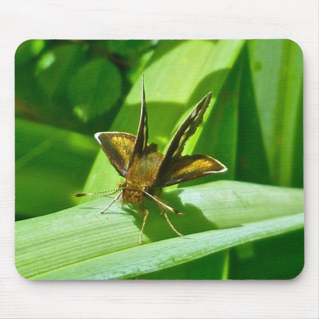 Skipper Butterfly Mousepad (Vorne)