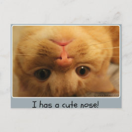 Skippy's kleine Nase Postkarte