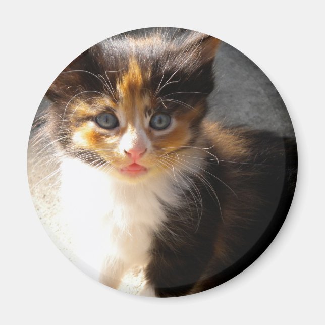 Skittles Magnet (Vorne)