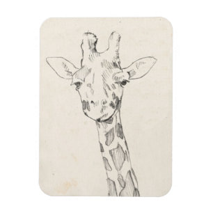 Skizze des Giraffen-Porträt- Magnet