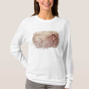 Skizze eines Brüllenlöwes (rote Kreide auf Papie T-Shirt