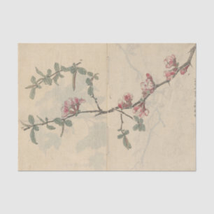 Skizzenbuch Pl. 096 von Ariyoshi Kondo Seidenpapier