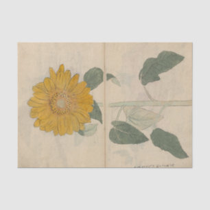 Skizzenbuch Pl. 103 von Ariyoshi Kondo Seidenpapier
