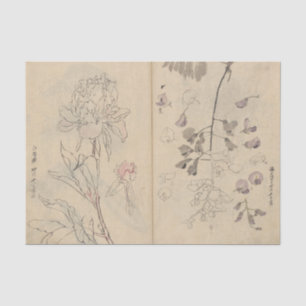 Skizzenbuch Pl. 110 von Ariyoshi Kondo Seidenpapier