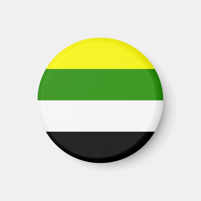 Skoliosexuelle Flagge Magnet (Vorne)