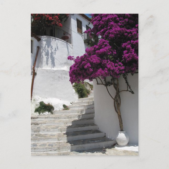 Skopelos, Griechenland Postkarte (Vorderseite)