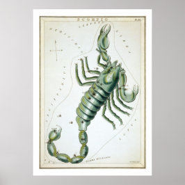 Skorpio Astrologie Zodiac Poster