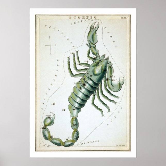 Skorpio Astrologie Zodiac Poster (Vorne)
