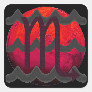 Skorpio Quadratischer Aufkleber