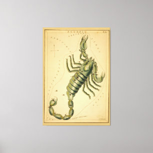 Skorpio (Skorpion) Vintages Zeichen von Zodiac Leinwanddruck