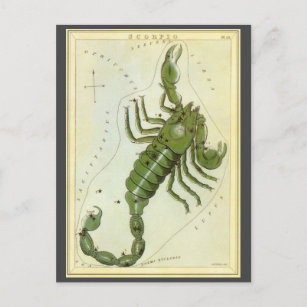 Skorpio, Vintager Sternbild Urania-Spiegel Postkarte