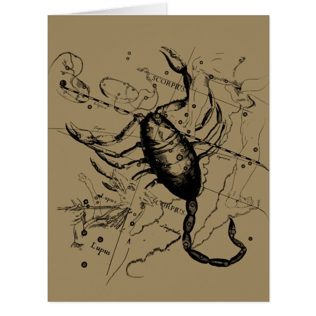 Skorpiokonstellation Hevelius 1690 Gravieren (Vorderseite)
