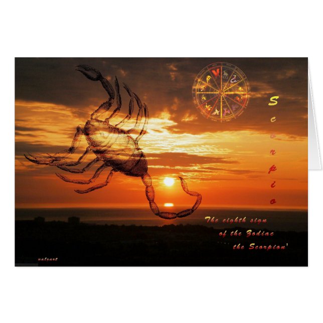 Skorpion (Vorderseite (Horizontal))