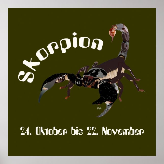 Skorpion 24. Bis 22. Oktober Poster (Vorne)