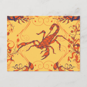 Skorpion 2 ~ Skorpione Scorpio Insekten Postkarte