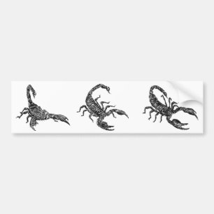 Skorpion Autoaufkleber