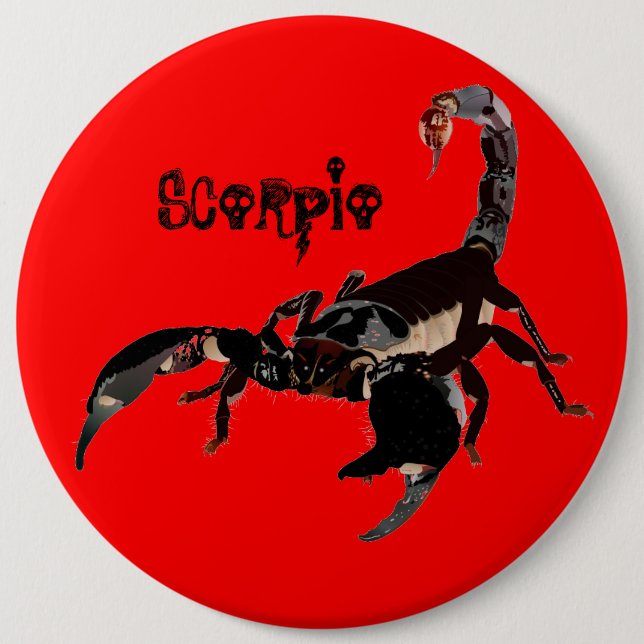 Skorpion Buttons (Vorderseite)