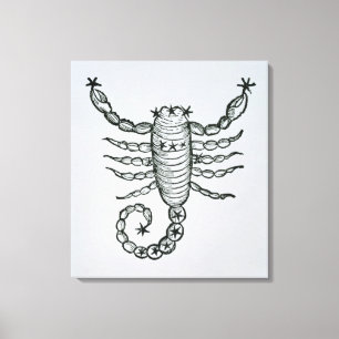 Skorpion (der Skorpion) eine Illustration vom 'P Leinwanddruck