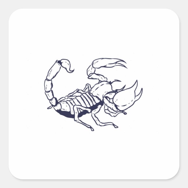 Skorpion Hand Drawing Kontur Quadratischer Aufkleber (Vorderseite)