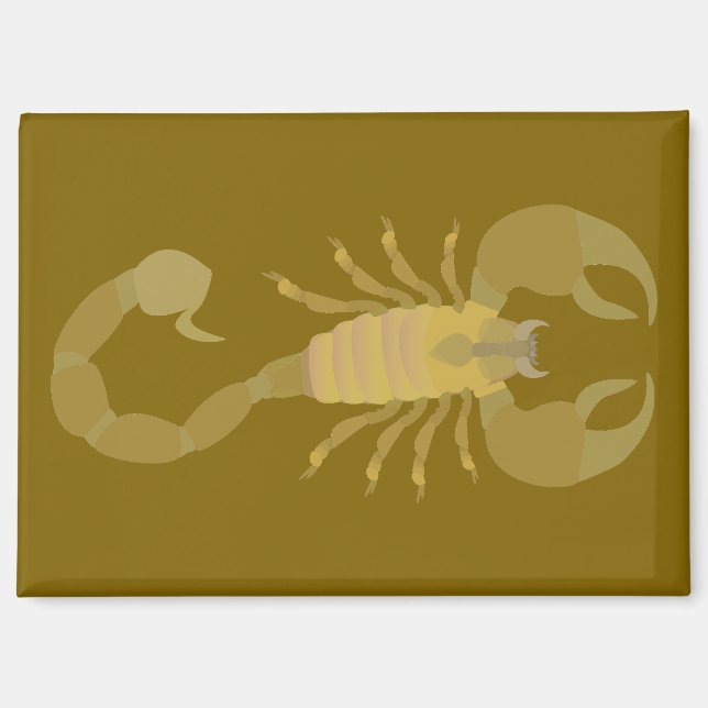 Skorpion Magnet (Vorderseite)