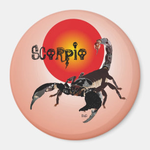 Skorpion Magnet
