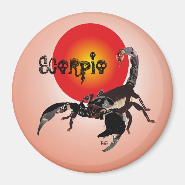 Skorpion Magnet (Vorne)