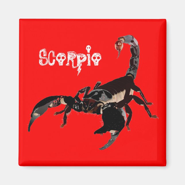 Skorpion Magnet (Vorne)
