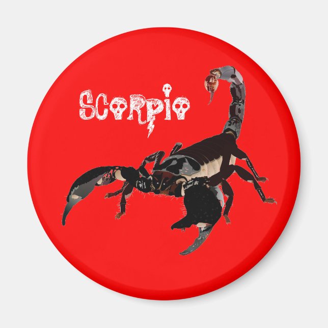 Skorpion Magnet (Vorne)