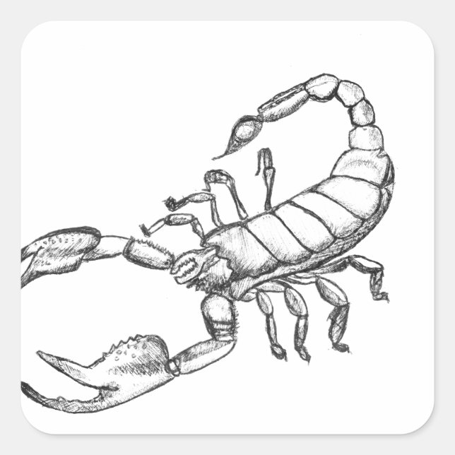 Skorpion Quadratischer Aufkleber (Vorderseite)