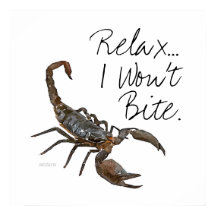 Skorpion "Relax... Ich werde nicht beißen" Poster