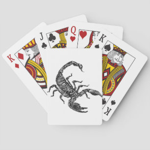 Skorpion Spielkarten
