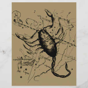 Skorpion-Sternbild Hevelius 1690 Dekor Flyer
