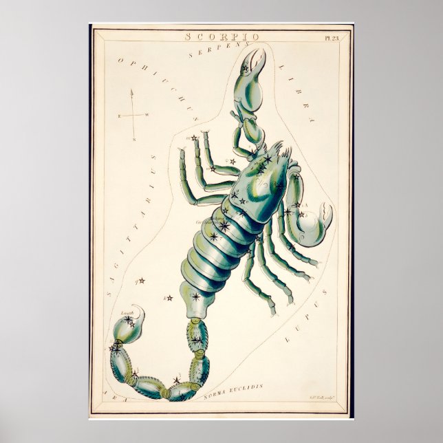 Skorpion Sternbild Kunstdruck Antik Poster (Vorne)
