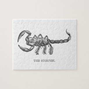 Skorpion Tiergeschenk beängstigende Tiere