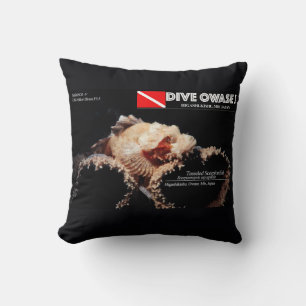 Skorpionfisch auf dem Schwamm Kissen