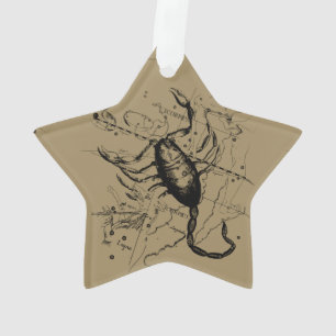 Skorpions-Konstellation Hevelius 1690 Klassiker Ornament