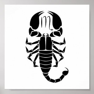 Skorpioskorpion Astrologie zodiaktisches Horoskop Poster