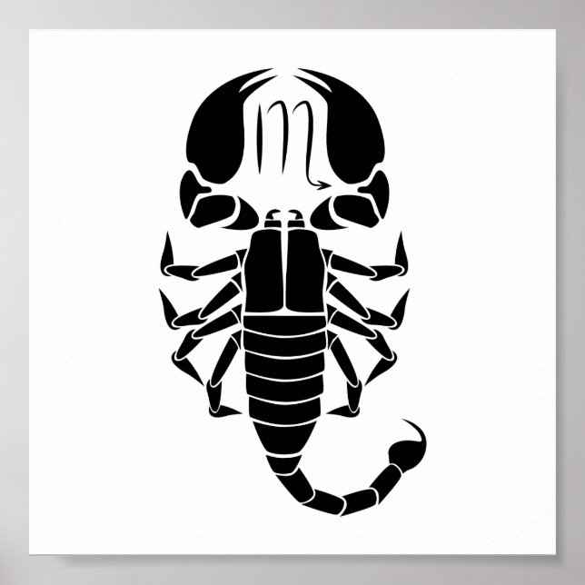 Skorpioskorpion Astrologie zodiaktisches Horoskop Poster (Vorne)