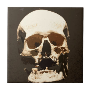 Skull_001 Fliese