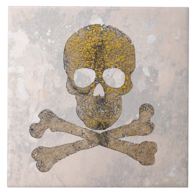 Skull and Bones Talking Canyons, New Mexico Fliese (Vorderseite)