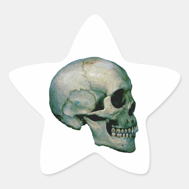 Skull aus dem Profil Stern-Aufkleber (Vorderseite)