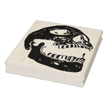 Skull - der Schrei