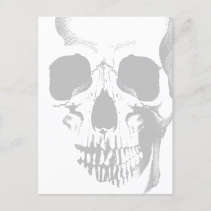 Skull Face Gray Postkarte