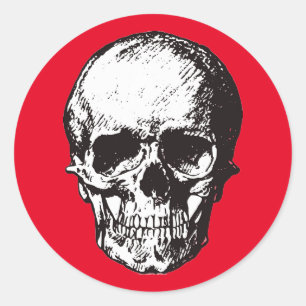 Skull Fantasy Art Rock Punk Heavy Metal Runder Aufkleber