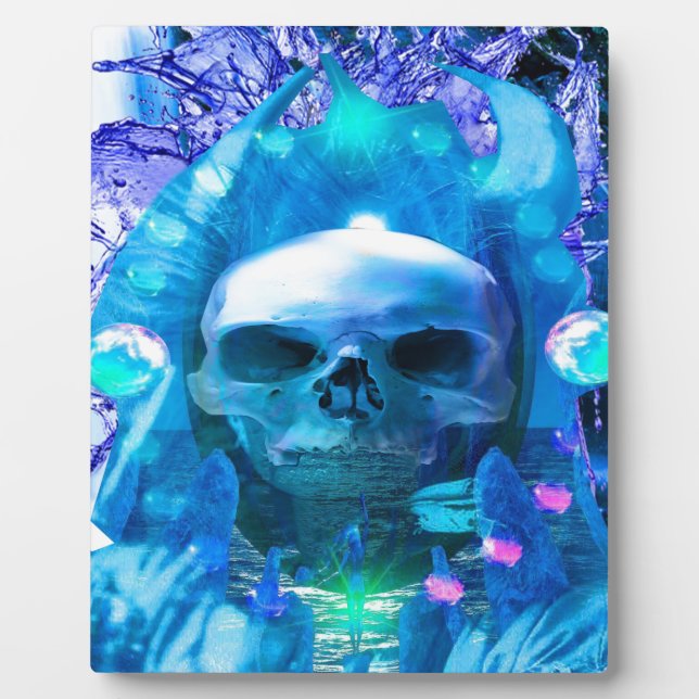 Skull Magician Fotoplatte (Vorderseite)