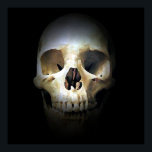 Skull Pop Art Print Poster - Skulls Posters Prints<br><div class="desc">Fantasy Art Skelett - Heavy Metal Punk Rock Uni Pop Art Image</div>