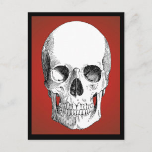 Skull Postcard (rot) Postkarte