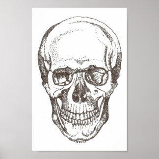 skull poster