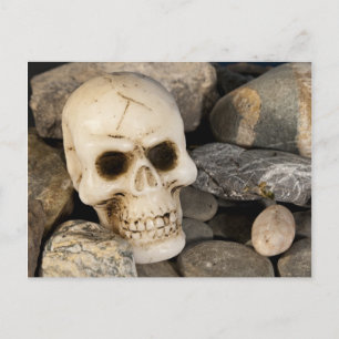 Skull-Postkarte Postkarte
